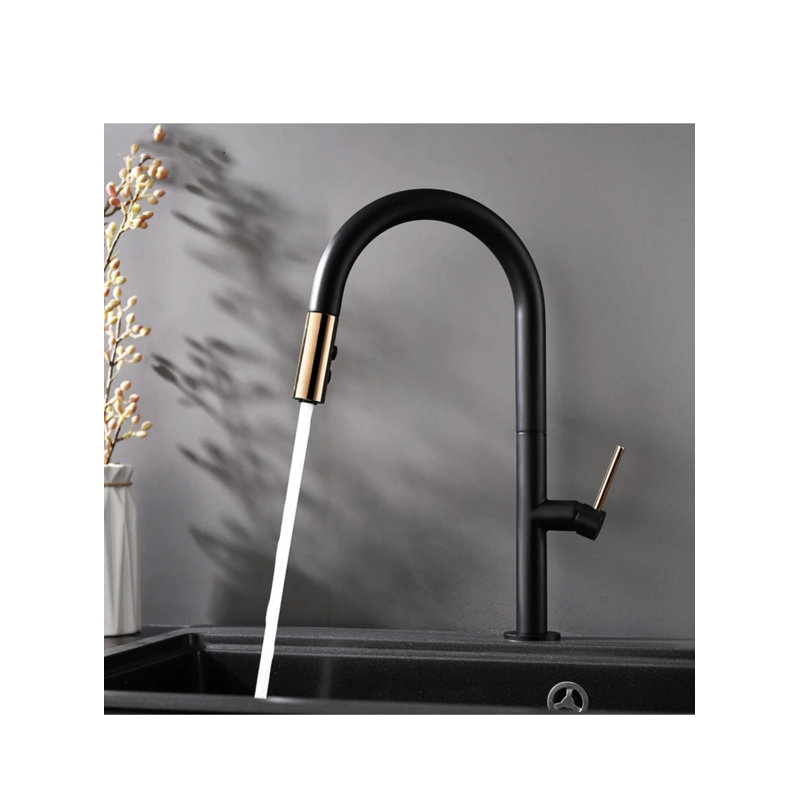 Robinet de cuisine laiton avec douchette extractible, Noir