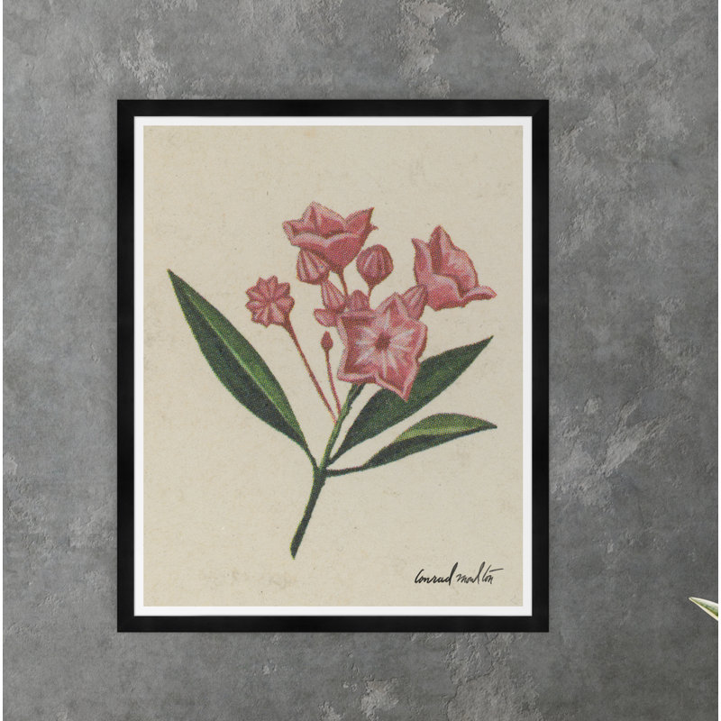 Moulton Collection " Pink Petals "