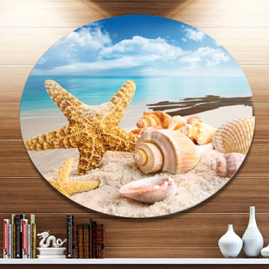 Starfish and Seashells On Beach' Photograph East Urban Home Size: 38 H x 38 W x 1 D, Format: Metal