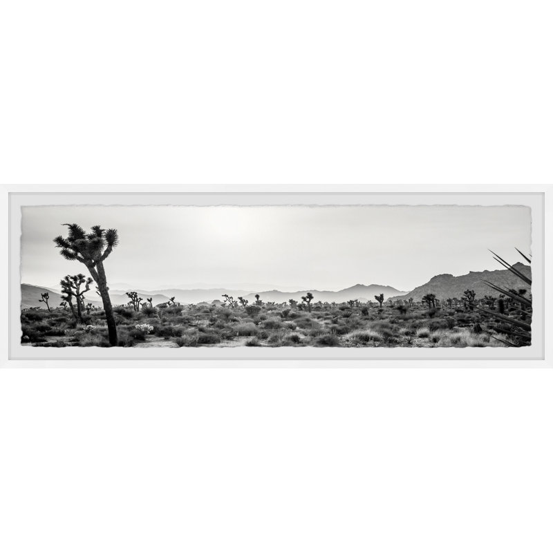 Mojave Desert Trees - Single Picture Frame Print, 38cm H x 114cm W x 3.81cm D