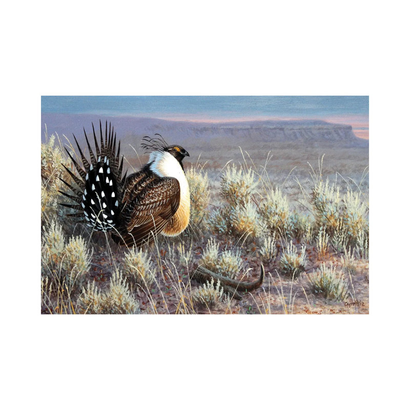 «Sage Grouse» par Cynthie Fisher - impression sur toile tendue, H 26 po x l 40 po x 1,5 po