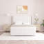 Denzel Upholstered Bed Frame-717918701-717918694