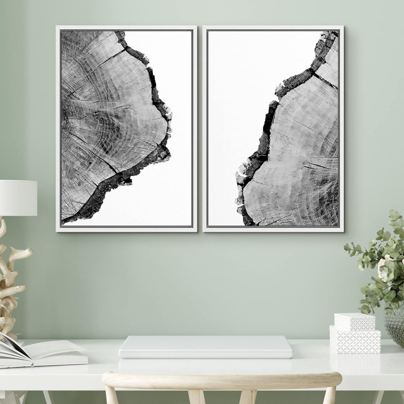 Noir et blanc, gros plan, anneau, détails de la nature sauvage, photographie, art moderne, rustique, multicolore, 2 pièces