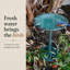 Bain d'oiseaux Aderes-2002997706
