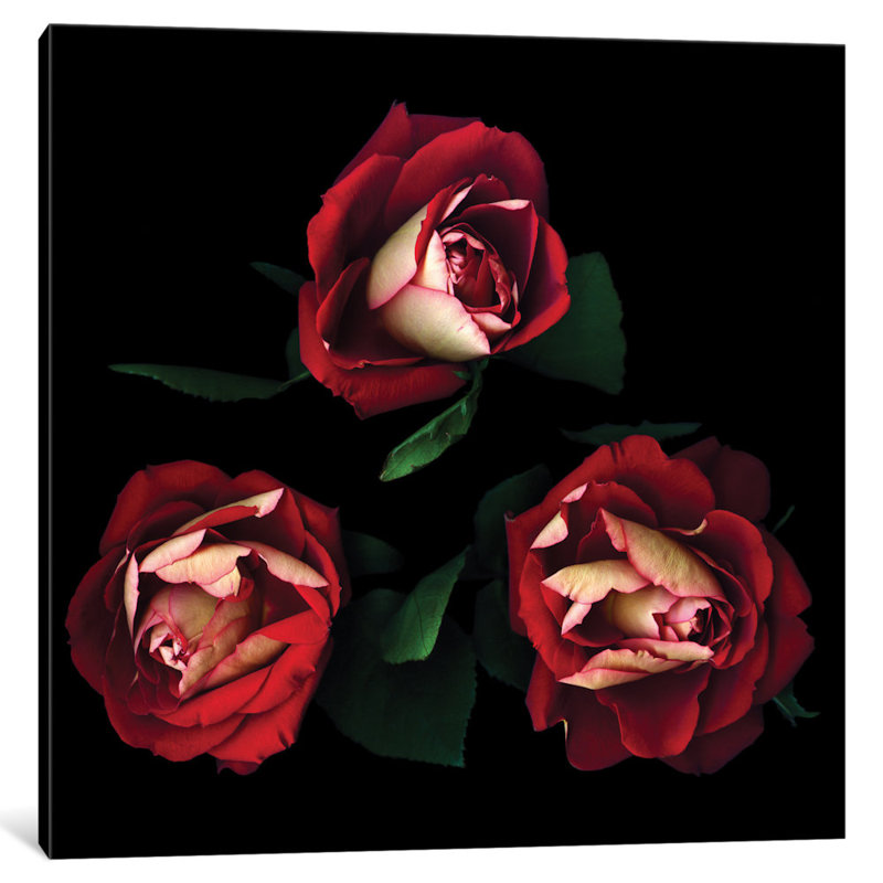 « passionné trio », reproduction de photo sur toile tendue, H 12 po x l 12 po x P 1,5 po, Toile tendue, Pas de tapis