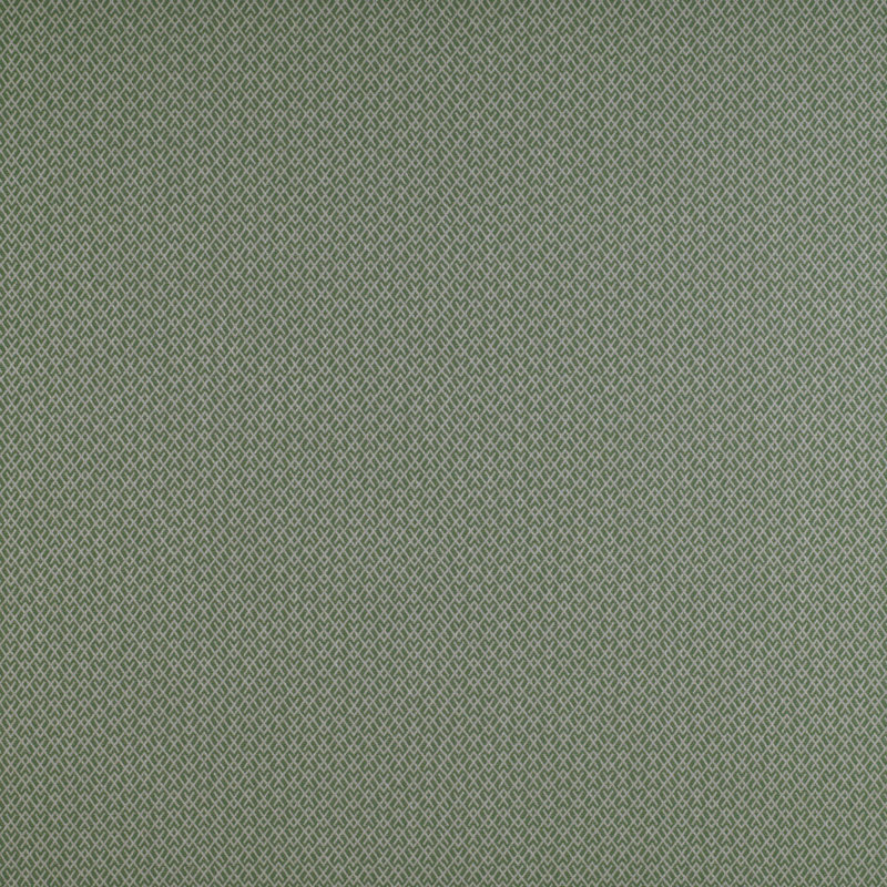 Madrid Chueca Cotton Blend Performance Fabric, Verde