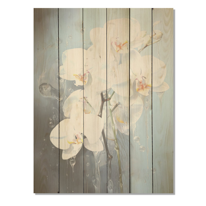Orchidée bleue et blanche - Orchidées sur bois de pin naturel, H 20 po x l 10 po