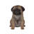 Sitting Pug Puppy Statue