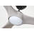 Aitkin 72'' Ceiling Fan with LED Lights-555599363
