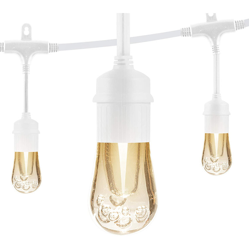 Classic Outdoor 12 - Bulb 24'' Plug-in LED String Light