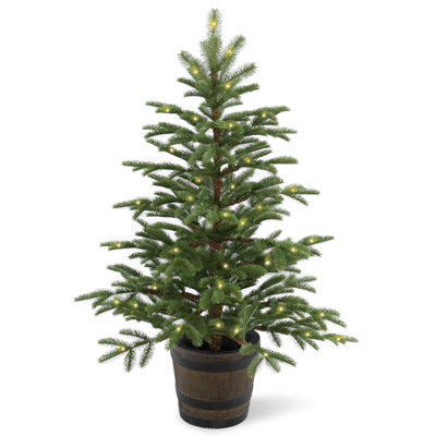 4ft. Norwegian Spruce Entrance Tree with Clear Lights