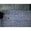 Plaid Area Rug in Blue