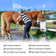 Pro Outdoor 1.58 GPM Liquid Propane Tankless Water Heatert