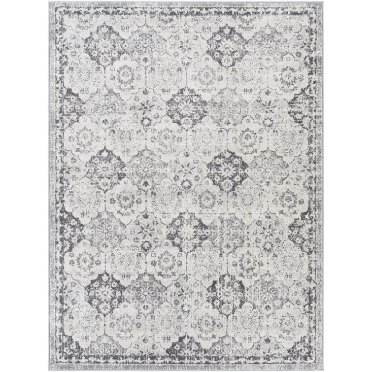 Souvenance Oriental Indoor Rug