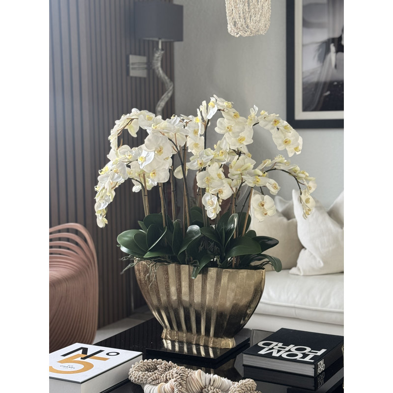 Vivien Gold Vase With Phaleanopsis Orchids, White