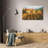 Tuscan Vineyard-323861085
