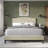 Nahiem Upholstered Platform Bed-1316650470-1316650469