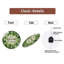 Horloge murale verte à motif de feuilles «Keep Growing Home Decor Art» 12 po