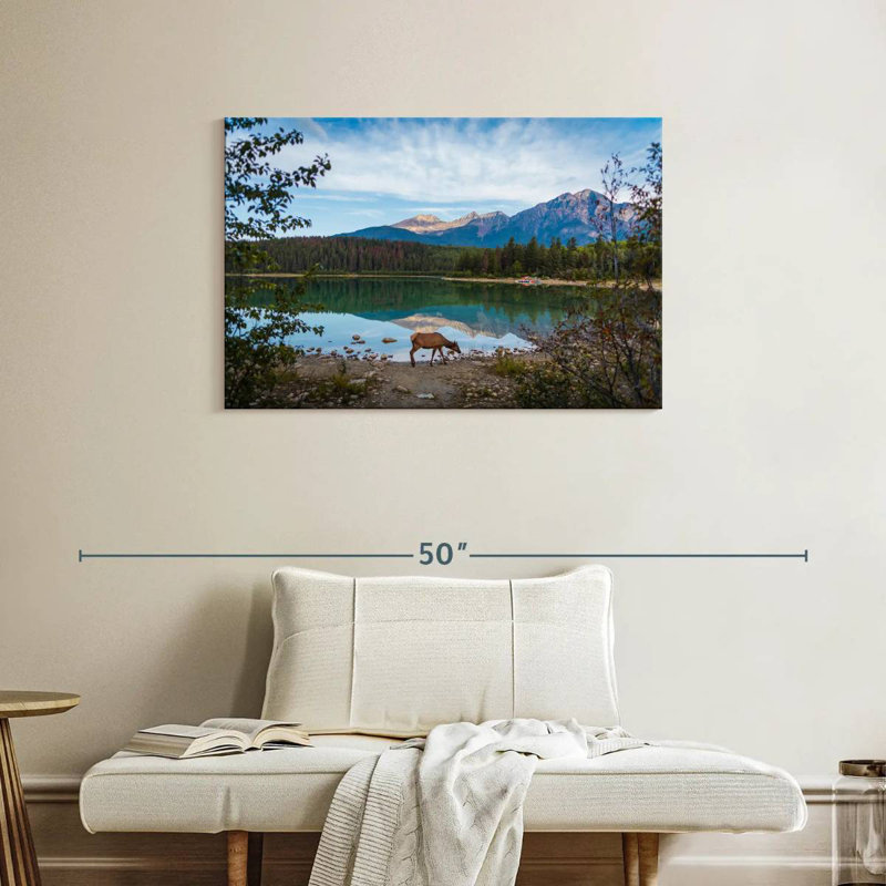 Orignal sauvage du parc Jasper, H 24 po x l 36 po