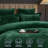 PHF Double-Sided Velvet Comforter Set, 5 Piece Soft Luxury Winter Warm Bedding Sets, Modern Bed in A Bag-124115669-124115663