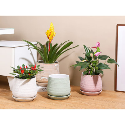 Petit pot en terre cuite roulé à la main avec soucoupe intégrée (paquet de 2) - Intérieur