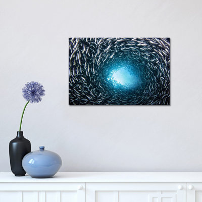 A School of Black Striped Salema Fish 1 Piece Wrapped Canvas Wall Art