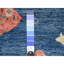 Tapis noué à la main 5 pi 10 po x 8 pi 10 po bleu ciel céleste en laine de poisson 8F5D67D48BA648719C839E6F79958A70