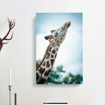 Stretching Giraffe - Wrapped Canvas