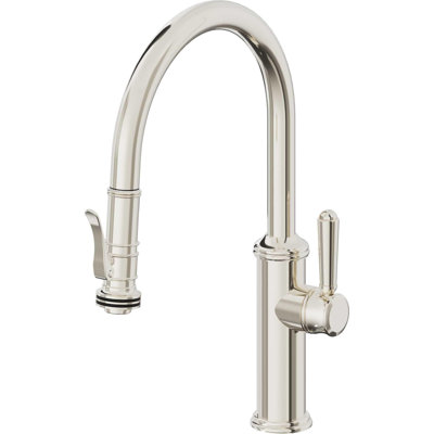 Davoli Kitchen Faucet