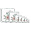 Cactus 536 - Impression sur toile tendue-492991411