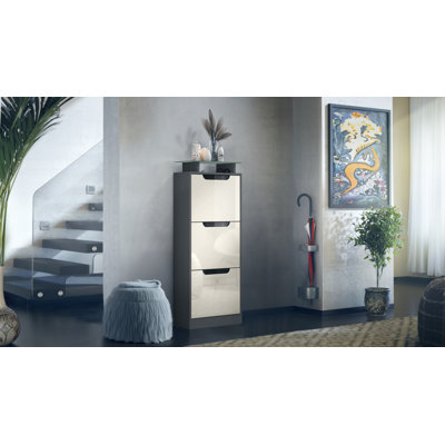 12 Pair Shoe Storage Cabinet