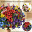 Arrangement