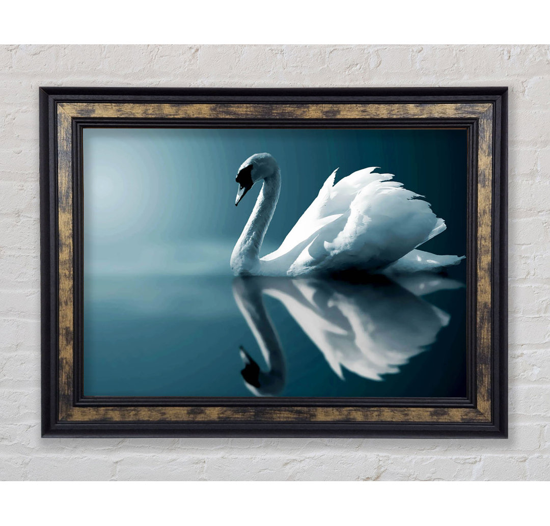 Reflections Of A Swan - Druck