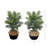 3ft. Artificial Areca Palm Tree with Handmade Basket DIY KIT