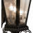 Tianna Steel Armed Sconce