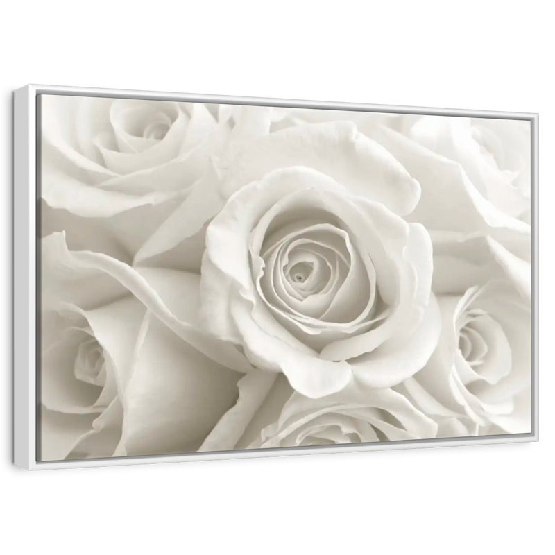 Roses blanches pures, Cadre flottant blanc, 31 po x 21 po