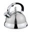 Cilio 2.85 Quarts Stovetop Water Kettle
