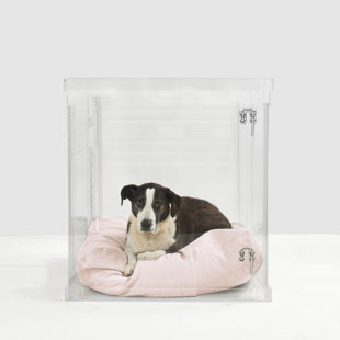 Clear Acrylic Pet Crate