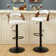 Aryelle Swivel Upholstered Adjustable Height Counter Stool with Metal Frame