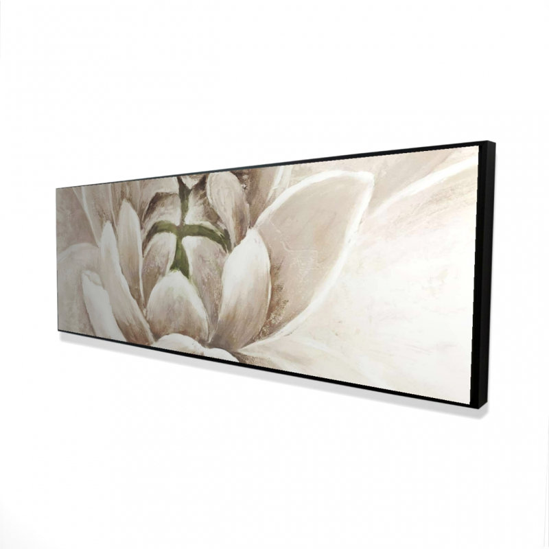 " Delicate Chrysanthemum "