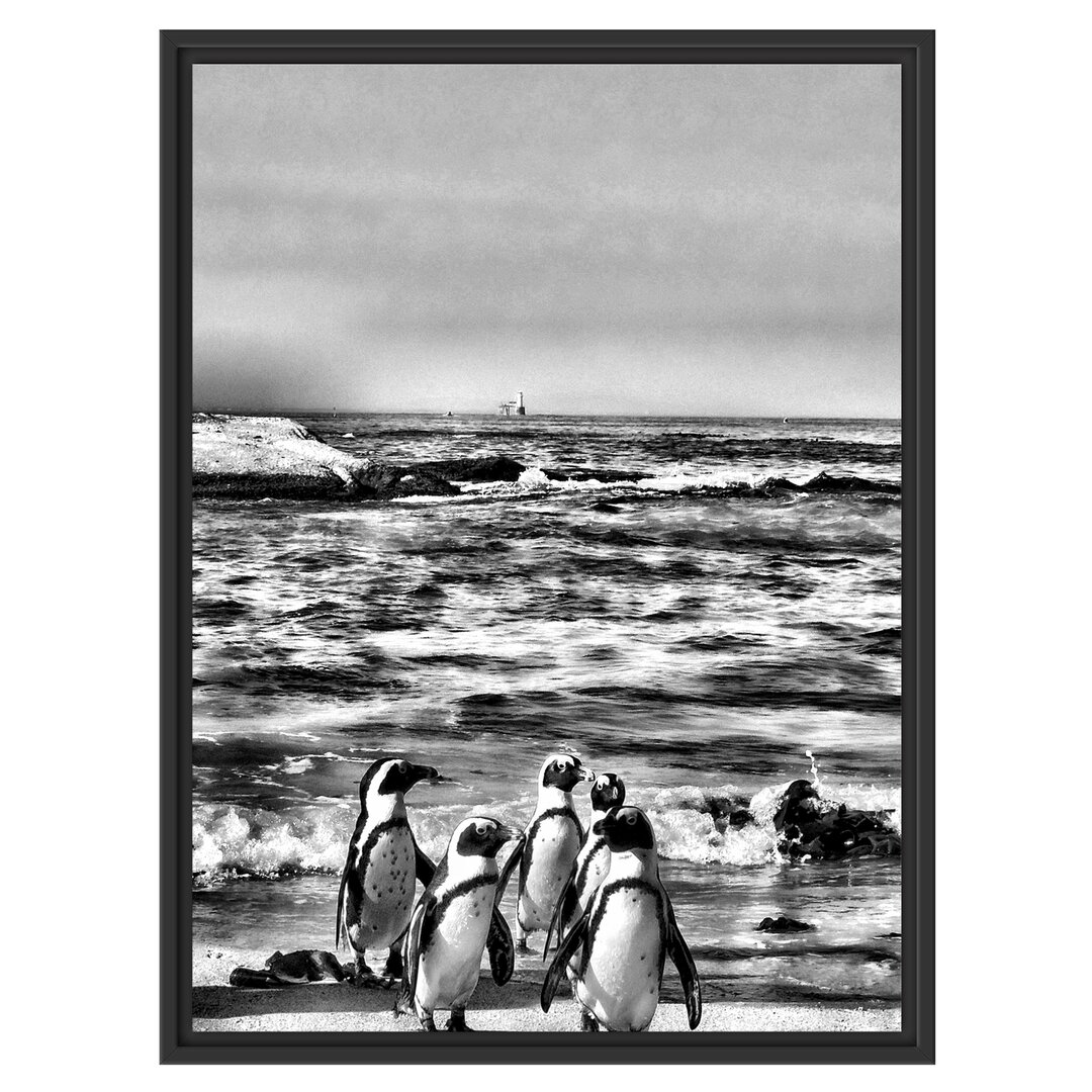 Gerahmtes Wandbild Pinguine am Strand