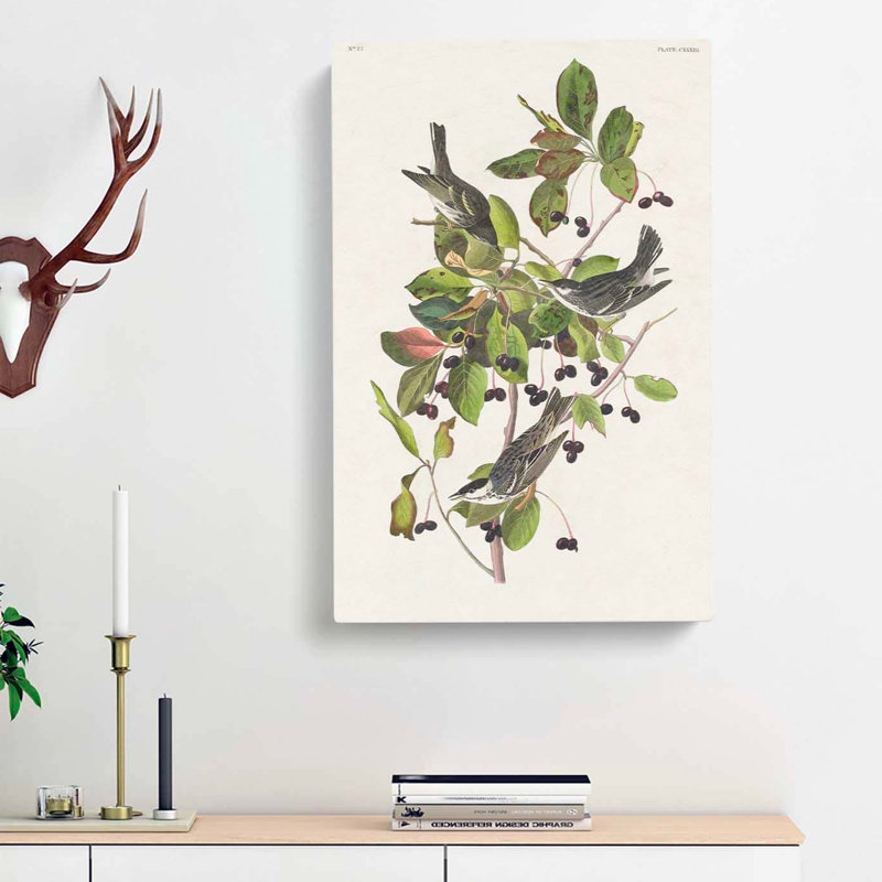 Black-Poll Warbler Birds by John James Audubon - Wrapped Canvas, 50cm H x 35cm W x 3cm D