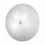 Bianca Flush Mount-10260835-10260837