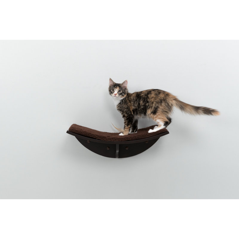 Trixie Lea XXL perchoir mural, tablette pour chat, lit pour chat, chaise longue pour chat, mobilier pour chat, Espresso brun