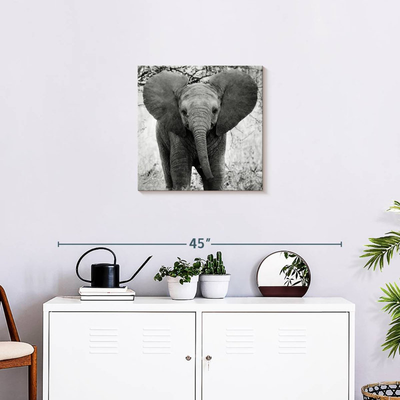 Drôle d'éléphant d'Afrique Brampt, H 20 po x l 20 po