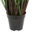 Herbe droite artificielle et quenouilles-22996684