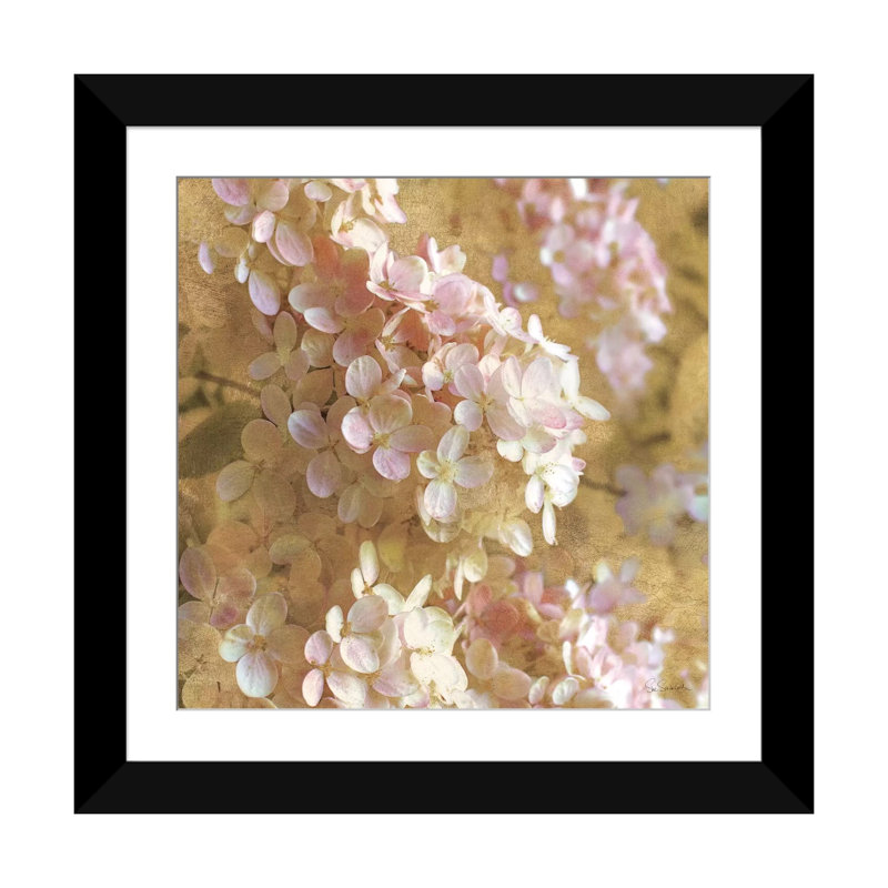 «Gilded Hydrangea I», impression sur toile tendue, Papier beaux-arts encadré noir, Blanc, H 16 po x l 16 po x P 1 po