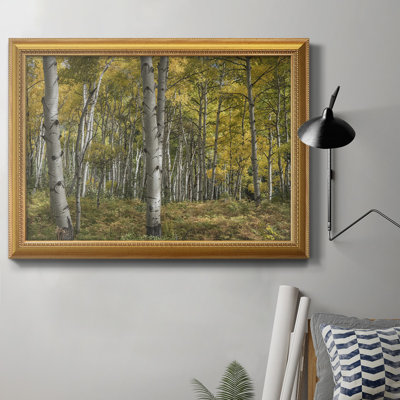 Toile encadrée de qualité supérieure Aspen Grove II - prête à être accrochée