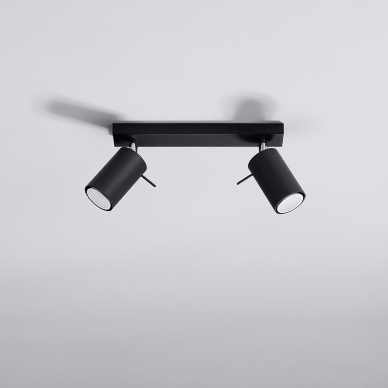 Lekh Flush Mount, Black