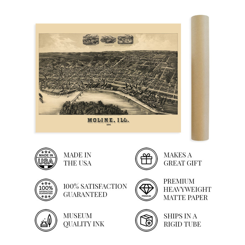 1889 Moline, Illinois, carte sur papier, H 24 po x l 36 po x P 0,01 po